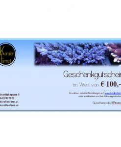 Geschenkgutschein € 100